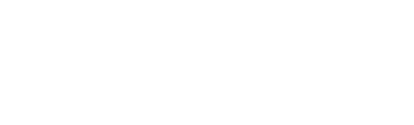 Estatewise logo valge